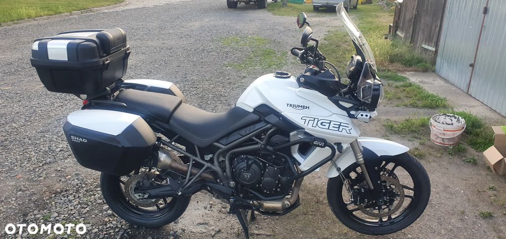 Triumph Tiger - 14