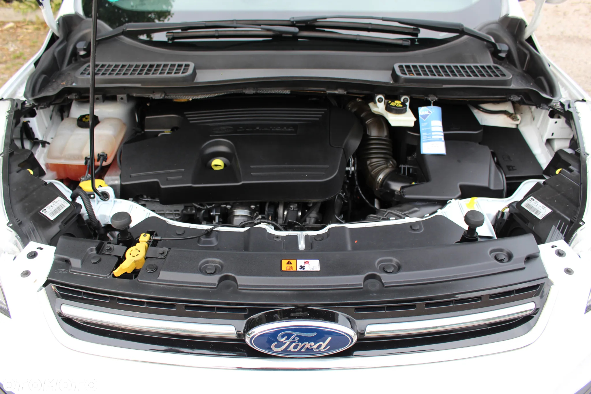 Ford Kuga 2.0 TDCi 2x4 Titanium - 5