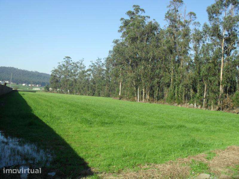 Terreno industrial c/ 10.987 m² em Rates, Póvoa de Varzim - Grande imagem: 5/11