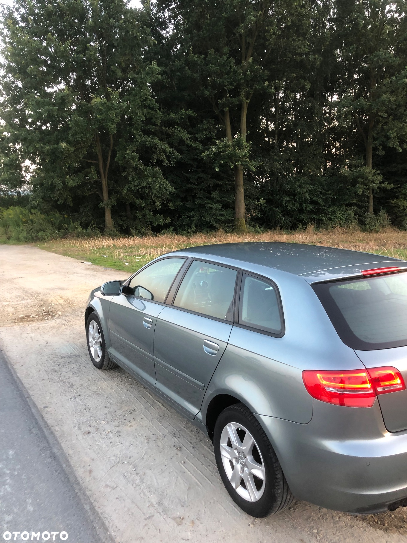 Audi A3 - 7