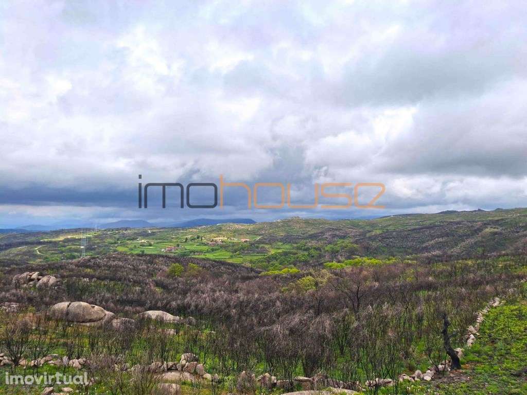 Quinta de 36 hectares - Várias edificações - Grande imagem: 5/54