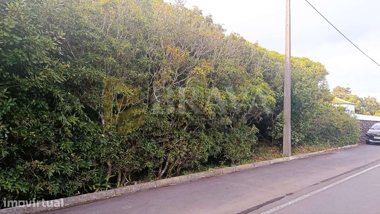 Terreno para Construção em Porto Martins - Grande imagem: 5/12