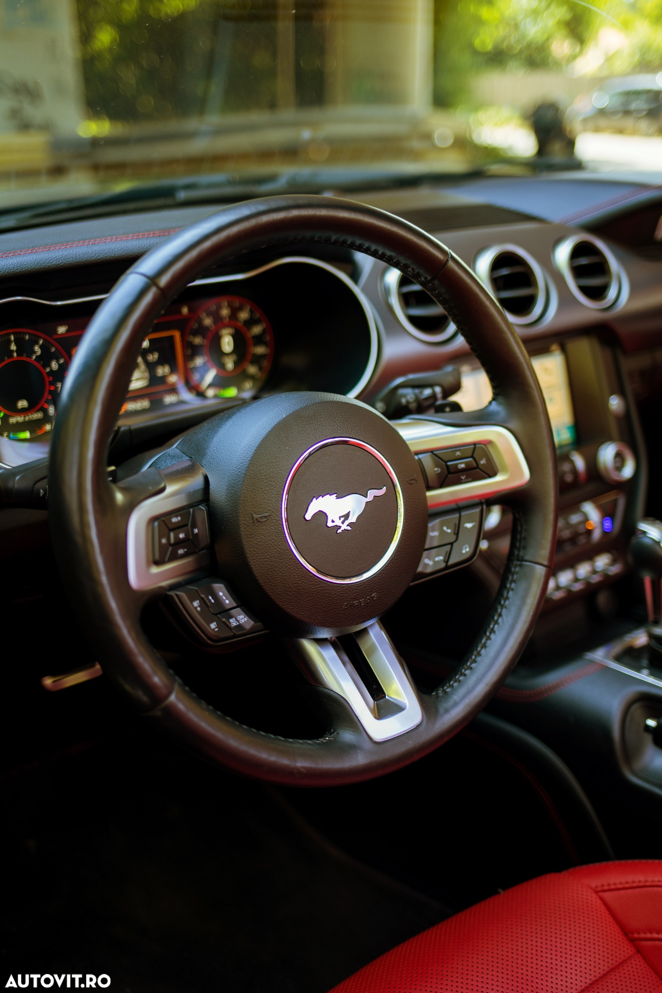 Ford Mustang Cabrio 2.3 Eco Boost - 19