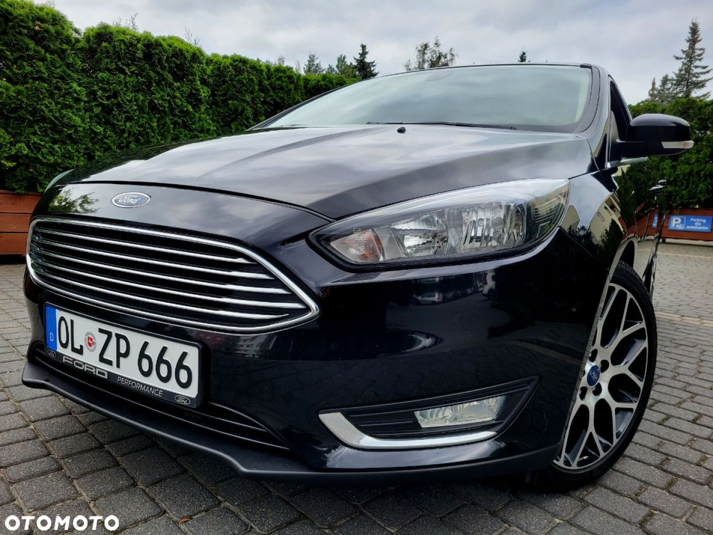 Ford Focus - 24
