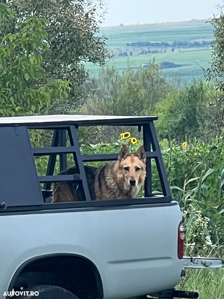 Toyota Hilux 4x4 Xtra Cab Special - 6