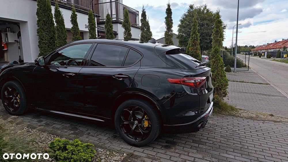 Alfa Romeo Stelvio 2.0 Turbo Veloce Q4 - 8
