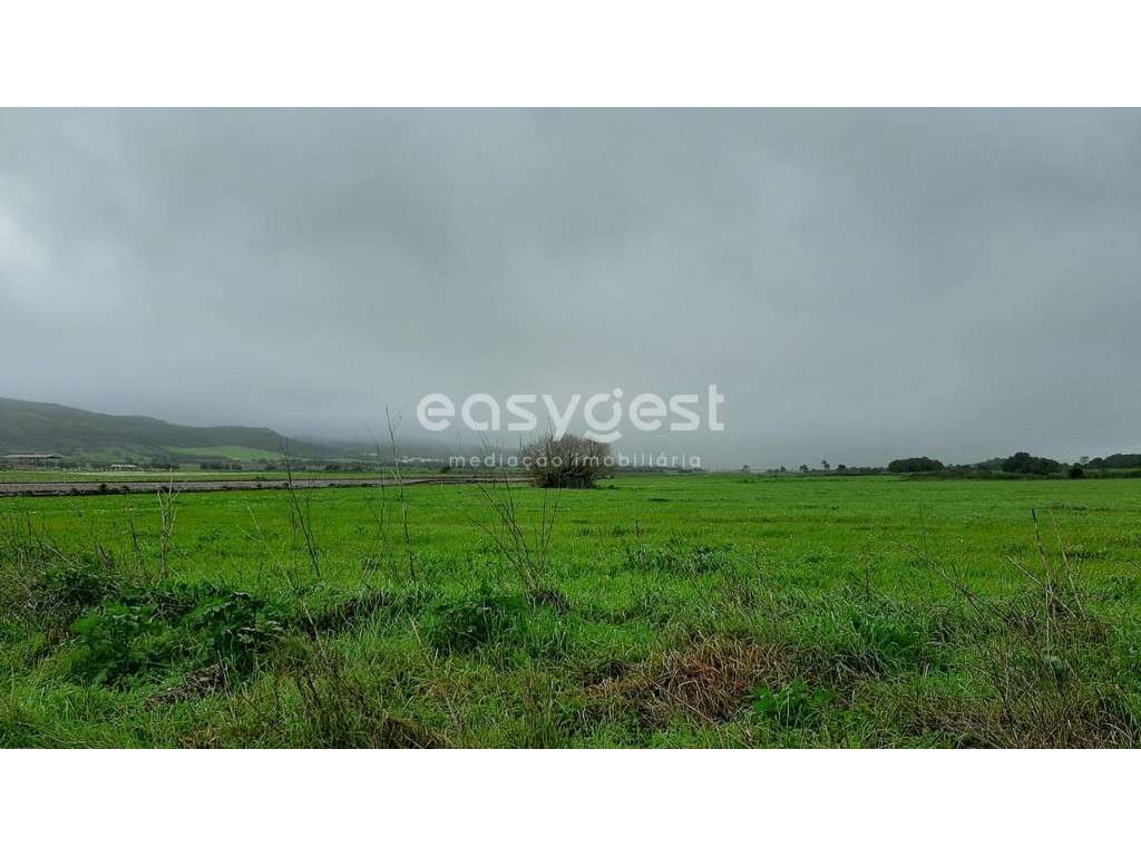 Terreno Rústico com 13960m2 a 2 km do centro de Pêro Pinheiro. - Grande imagem: 5/12
