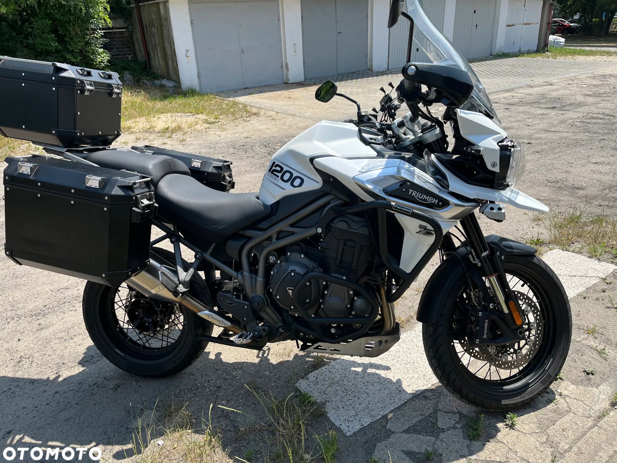 Triumph Tiger - 1