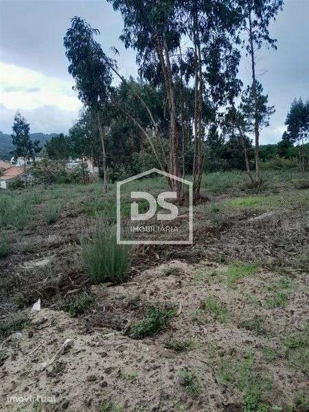 Terreno urbanizável -  Famalicão - Nazaré - Grande imagem: 2/6