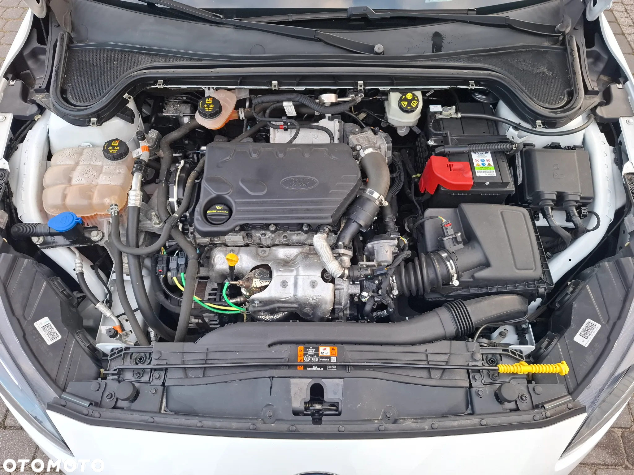 Ford Focus 1.5 EcoBlue Start-Stopp-System ACTIVE DESIGN - 18
