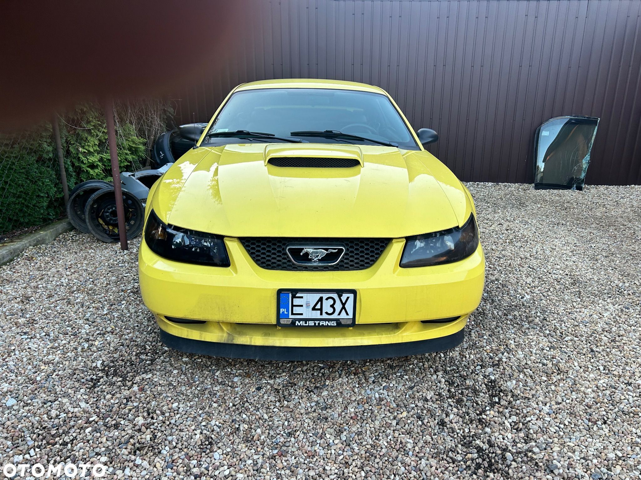 Ford Mustang - 1