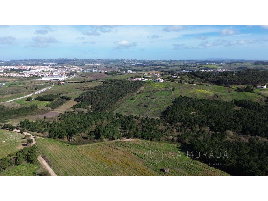 Terreno Rústico de 10 hectares nas Barreiras, Bombarral - Grande imagem: 2/29