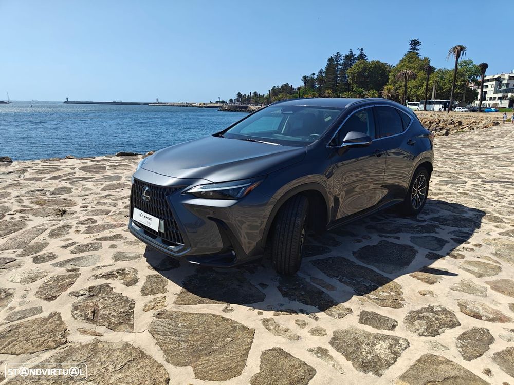 Lexus NX 450h+ Executive - 2