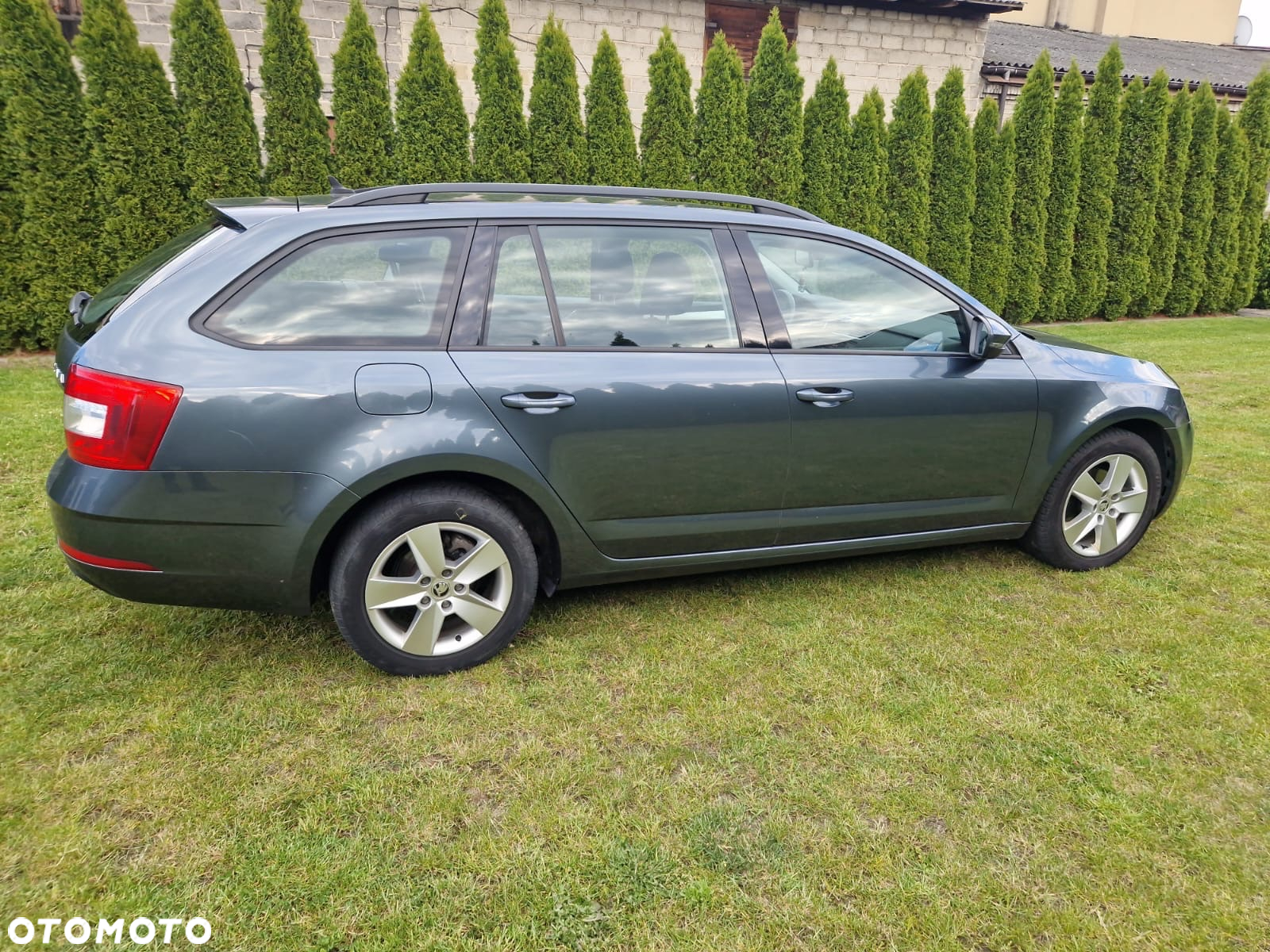 Skoda Octavia - 5