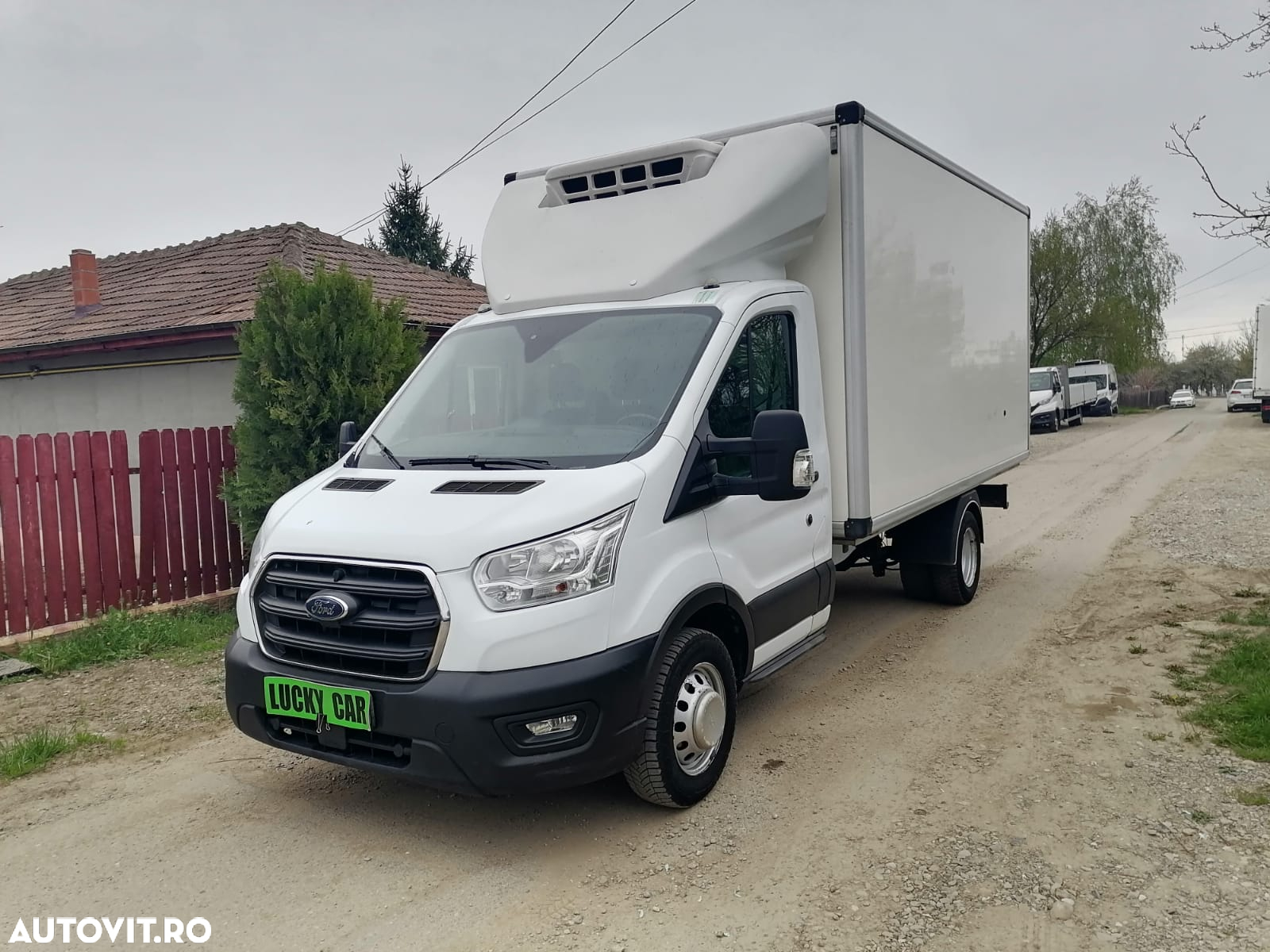 Ford Transit Frigorifica / Congelare / Punte dubla - 2