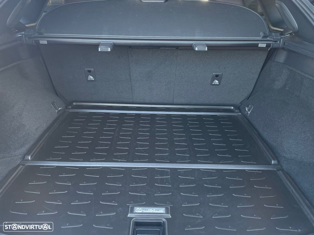 Lexus RX 450h - 16
