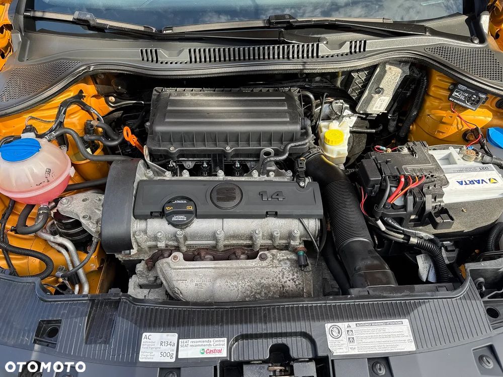 Seat Ibiza - 31