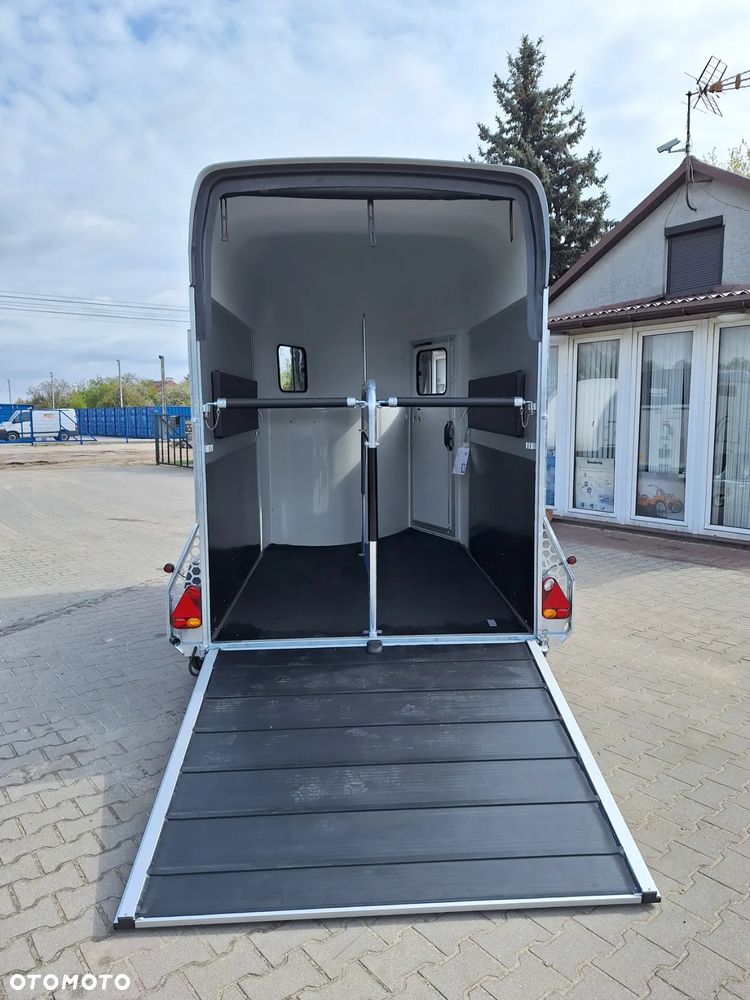 Cheval Liberte Gold Origin Debon - 4