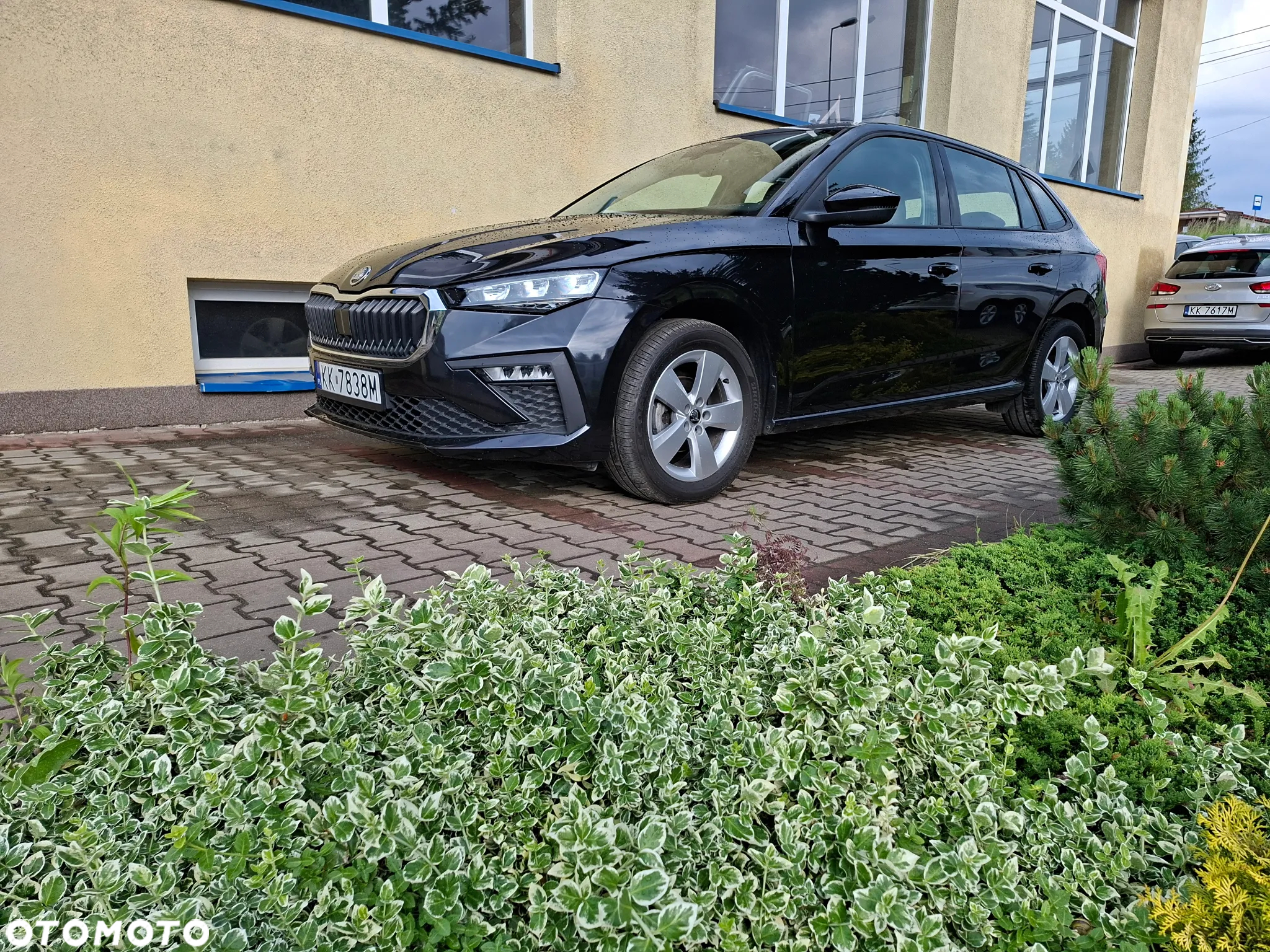 Skoda Scala 1.0 TSI Active - 2