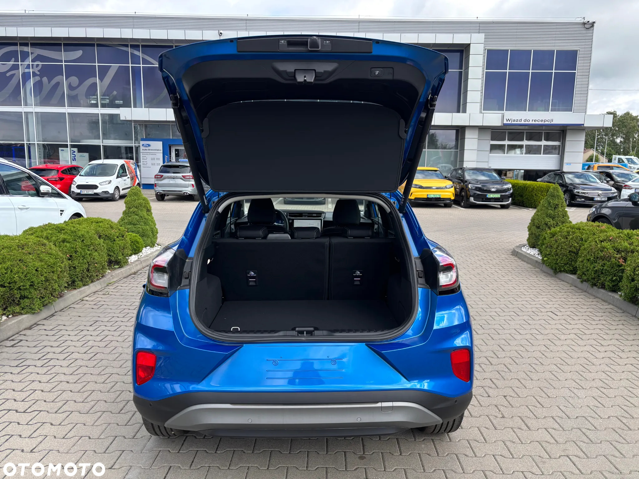 Ford Puma - 7