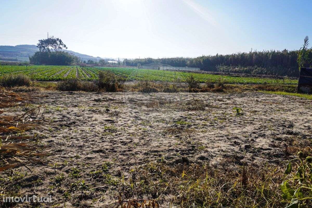 Terreno  para venda - Grande imagem: 2/4