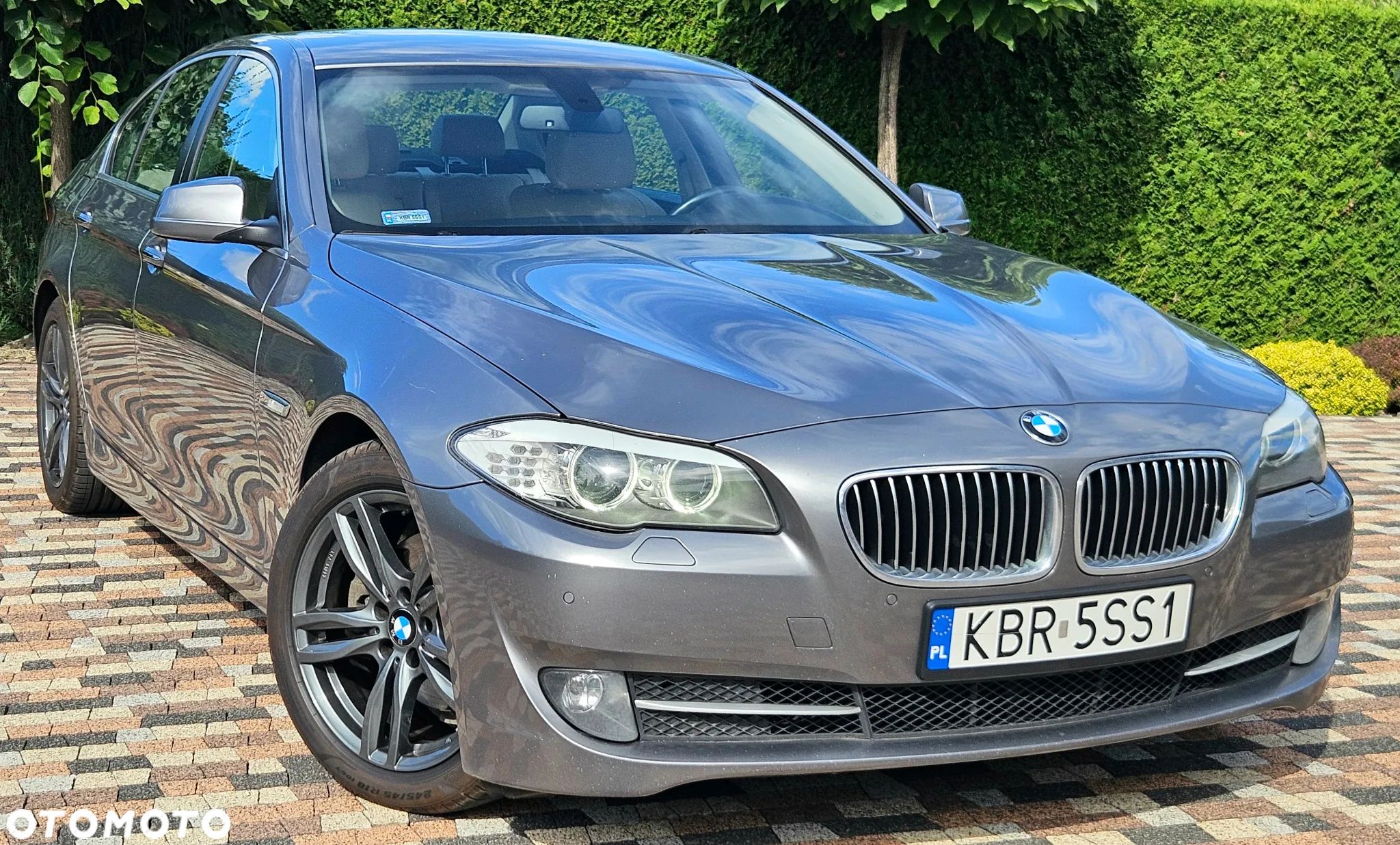 BMW Seria 5 - 1