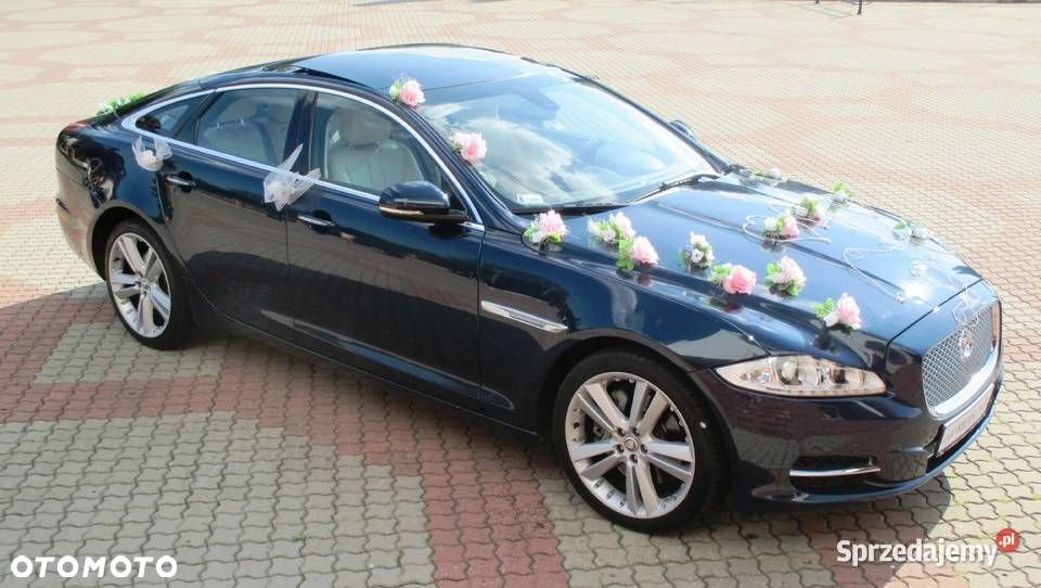 Jaguar XJ 3.0 D V6 Luxury - 3