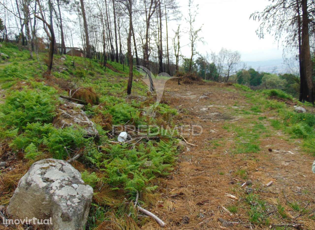 Terreno em Lordelo / Parque Natural do Alvão - Vila Real - Grande imagem: 3/37