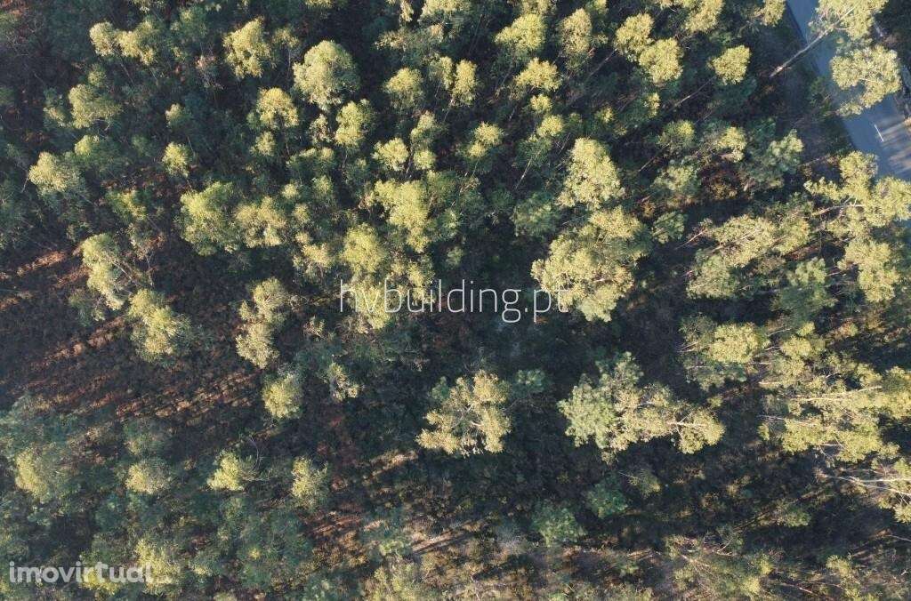 Oportunidade terreno para construção em Remelhe, Barcelos - Grande imagem: 2/16