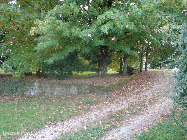 Imóvel de Banco: apresente-nos a sua proposta - Grande imagem: 5/60