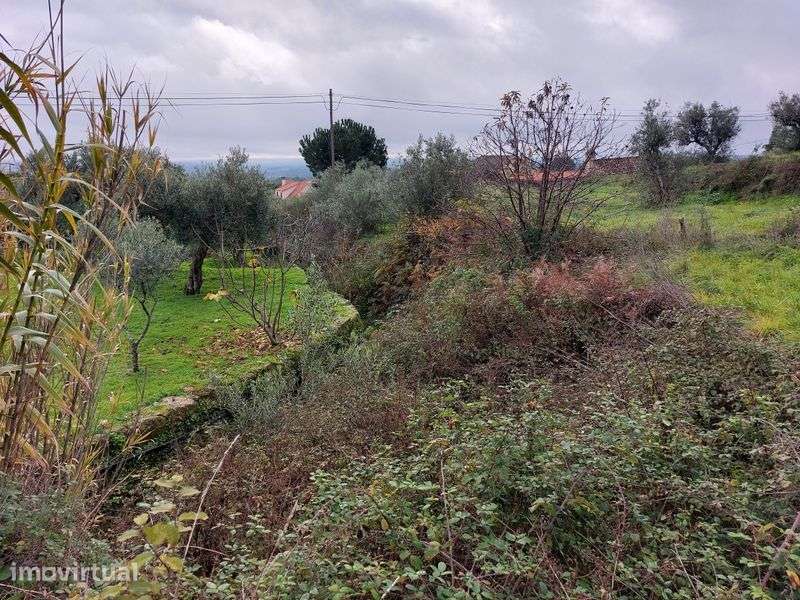 Terreno com casa em Vale de Prazeres - Grande imagem: 4/12