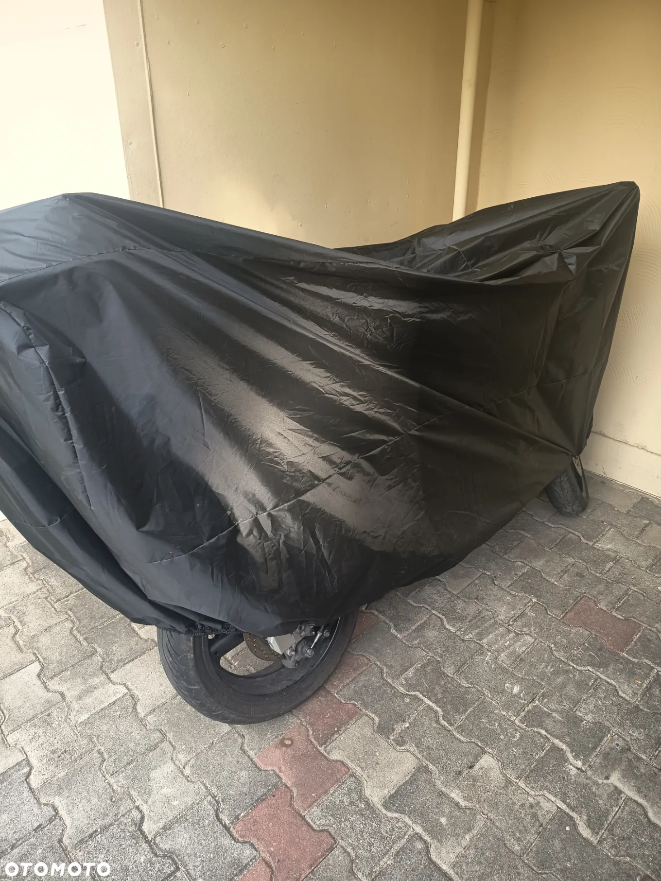Suzuki Bandit - 10