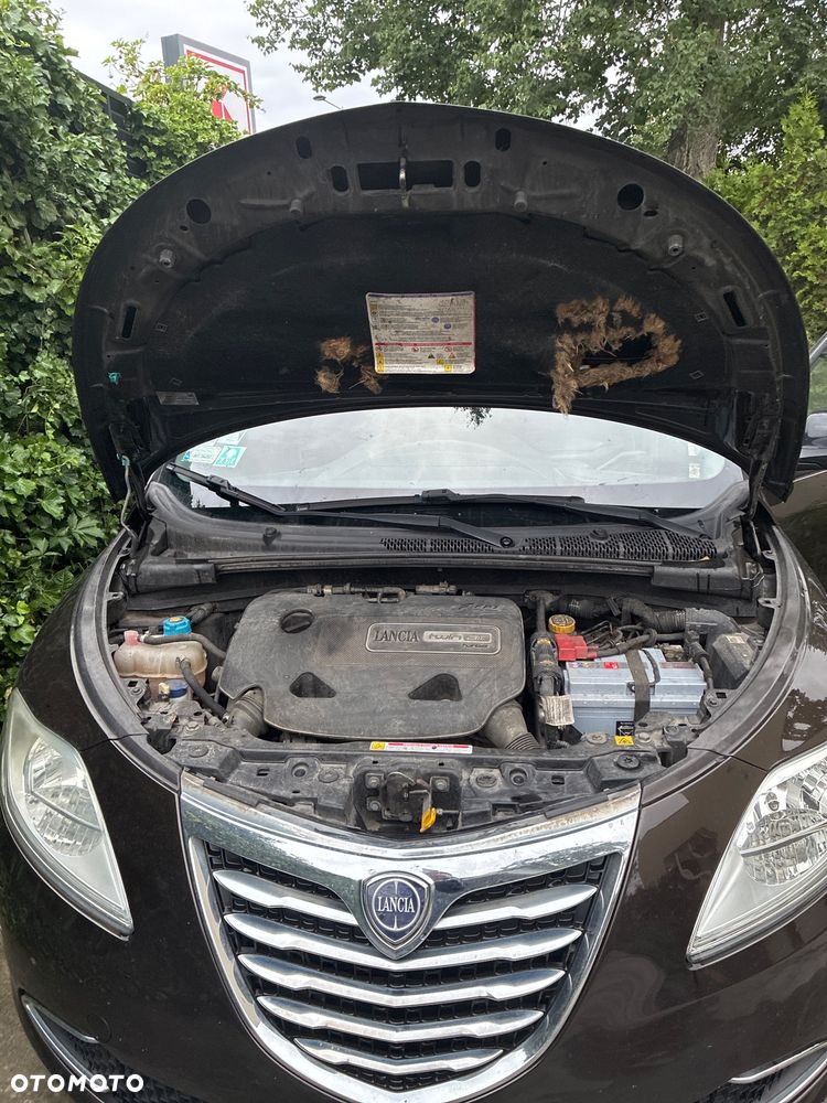 Lancia Ypsilon Y 0.9 TwinAir Turbo 8V Gold - 18
