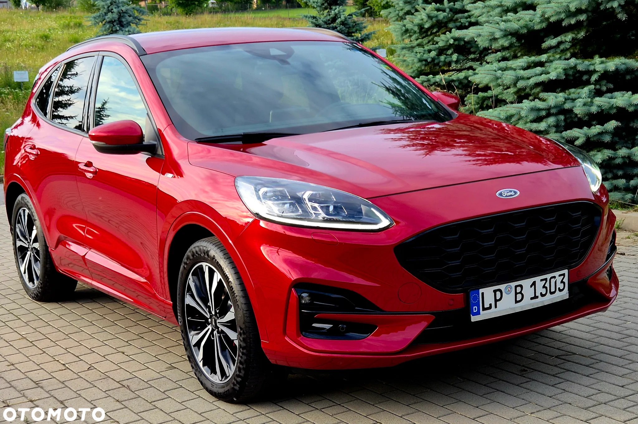 Ford Kuga 2.0 EcoBlue AWD ST-Line - 5