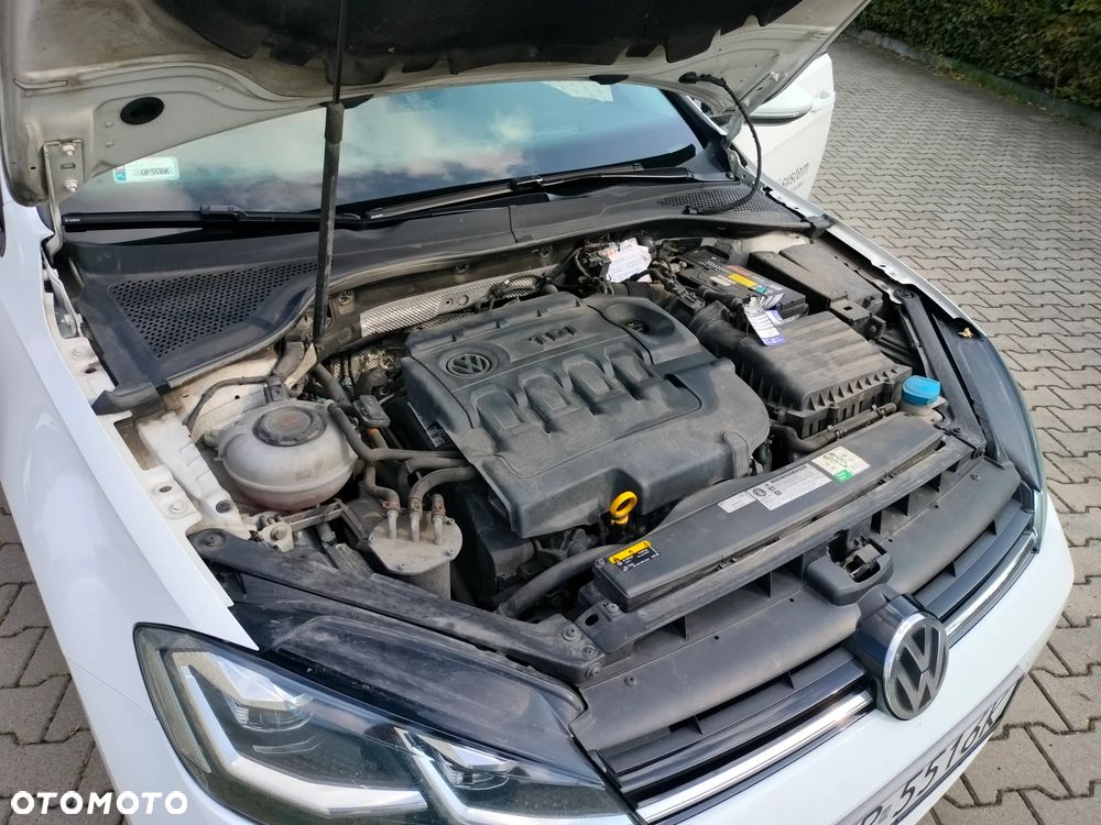 Volkswagen Golf 1.6 TDI BMT Start - 17
