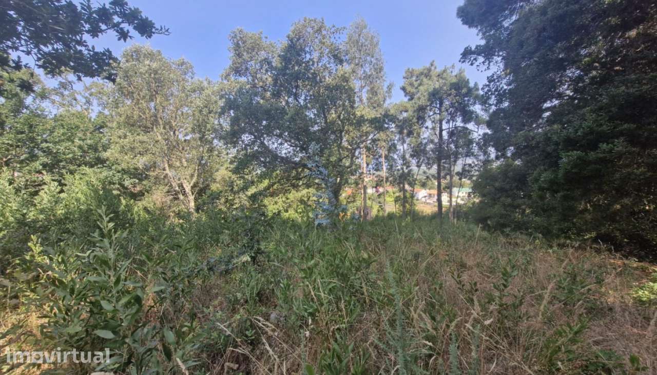 Terreno de construção para venda, Moledo, Caminha - Grande imagem: 5/9