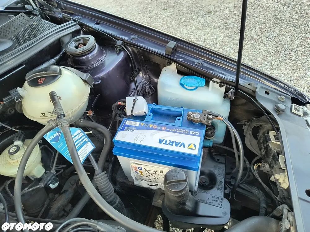 Volkswagen Golf - 19