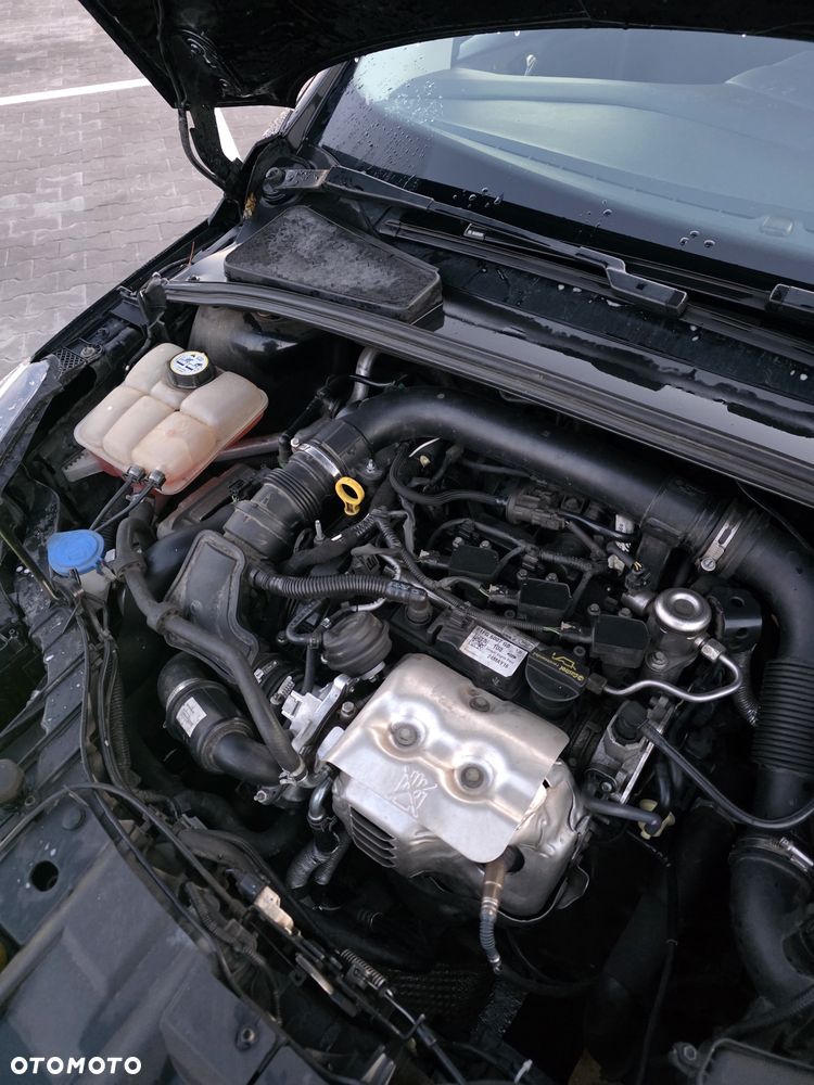 Ford Focus - 5
