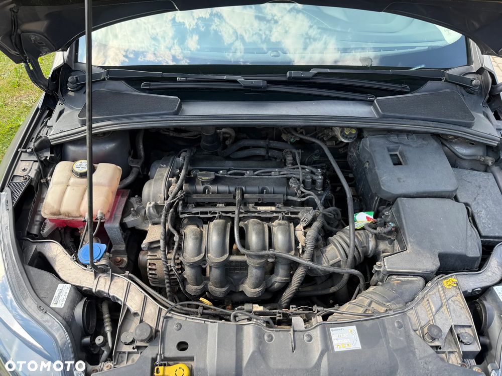 Ford Focus 1.6 Trend Sport - 19