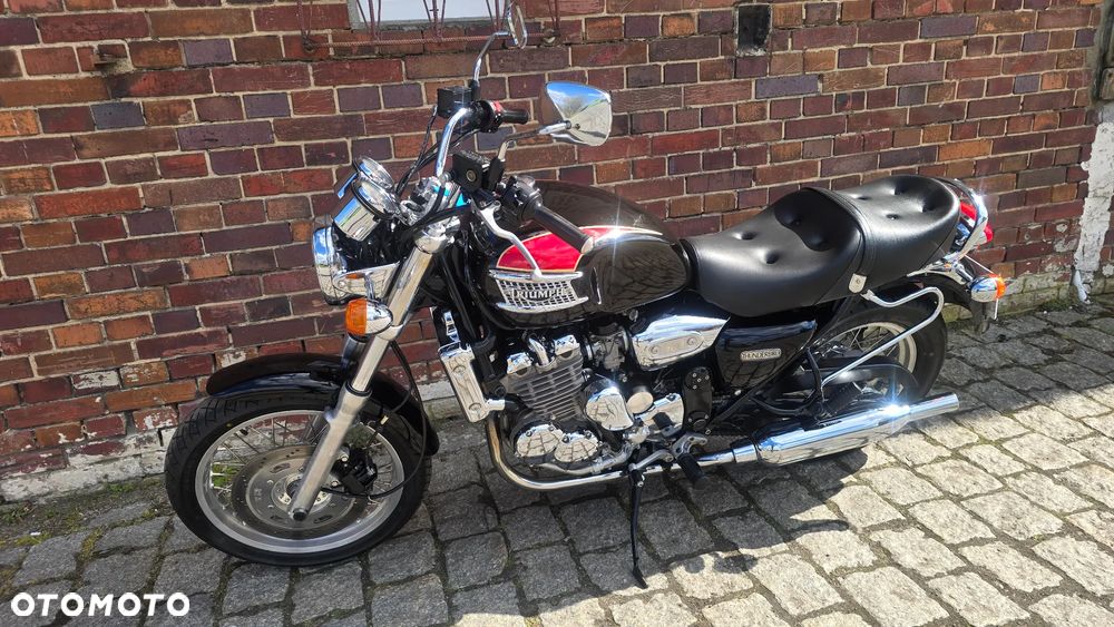 Triumph Thunderbird - 6