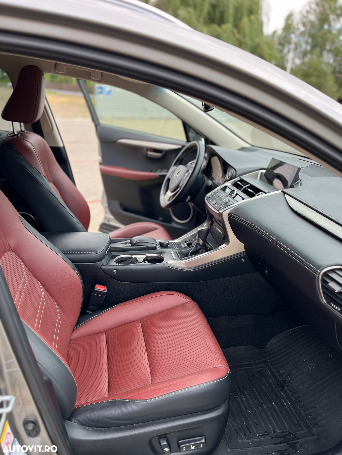 Lexus Seria NX 300h AWD Executive Plus - 9