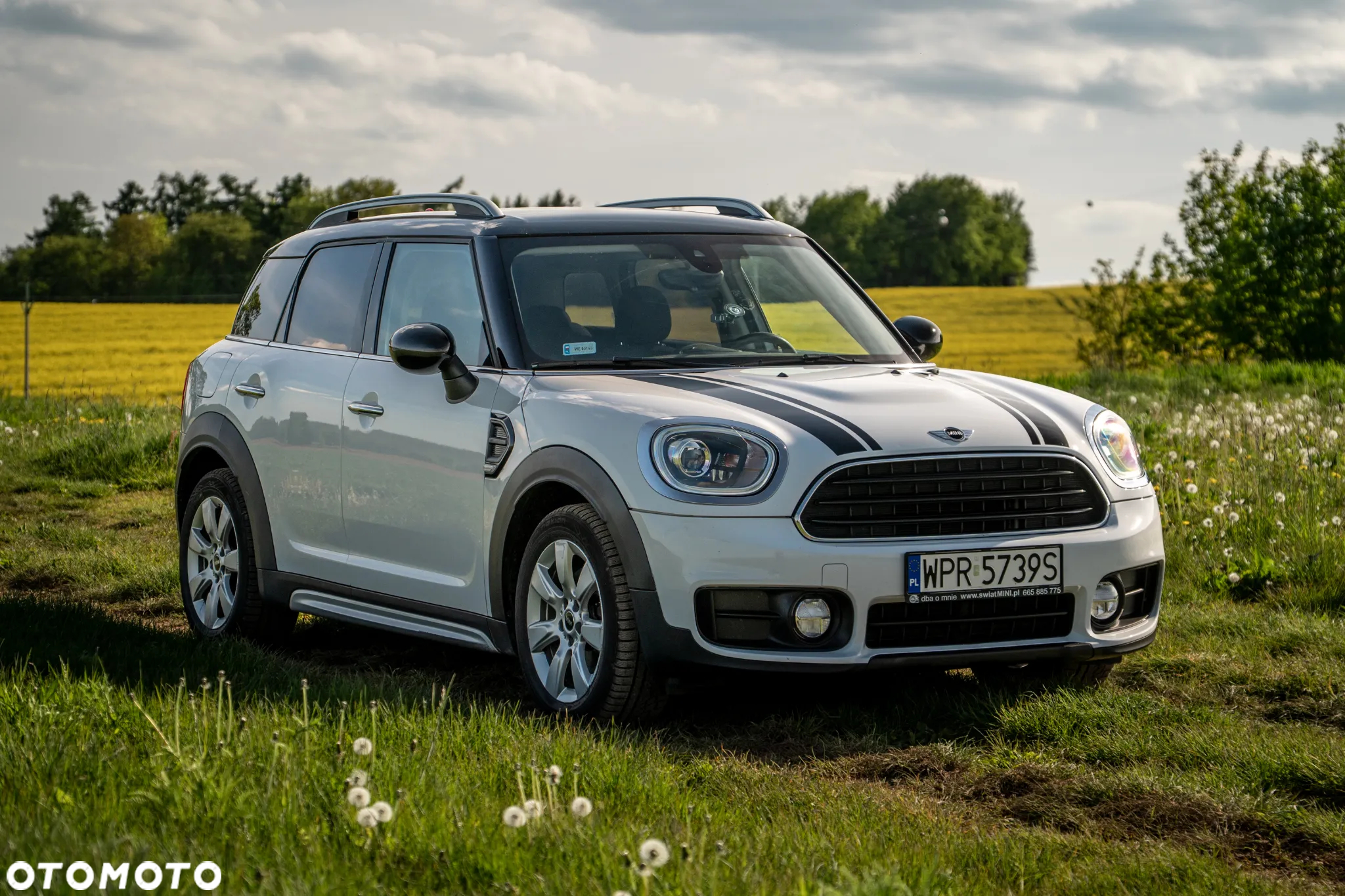 MINI Countryman Cooper D ALL4 - 3