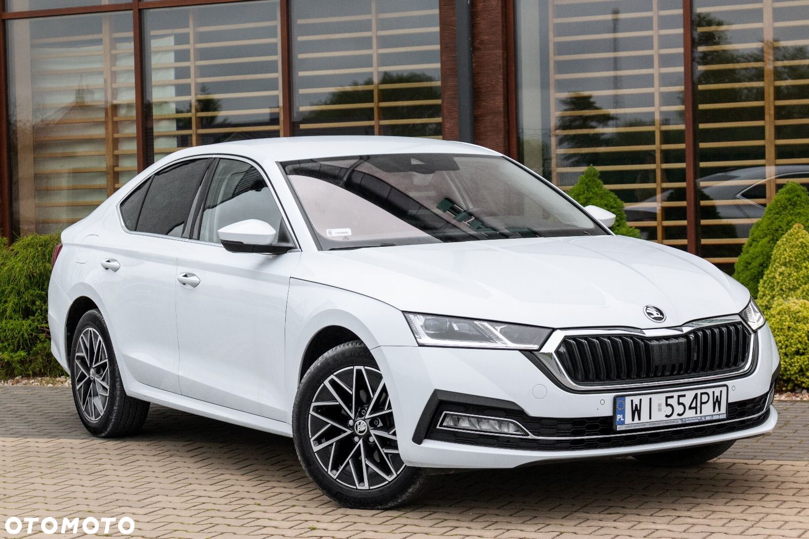 Skoda Octavia - 5