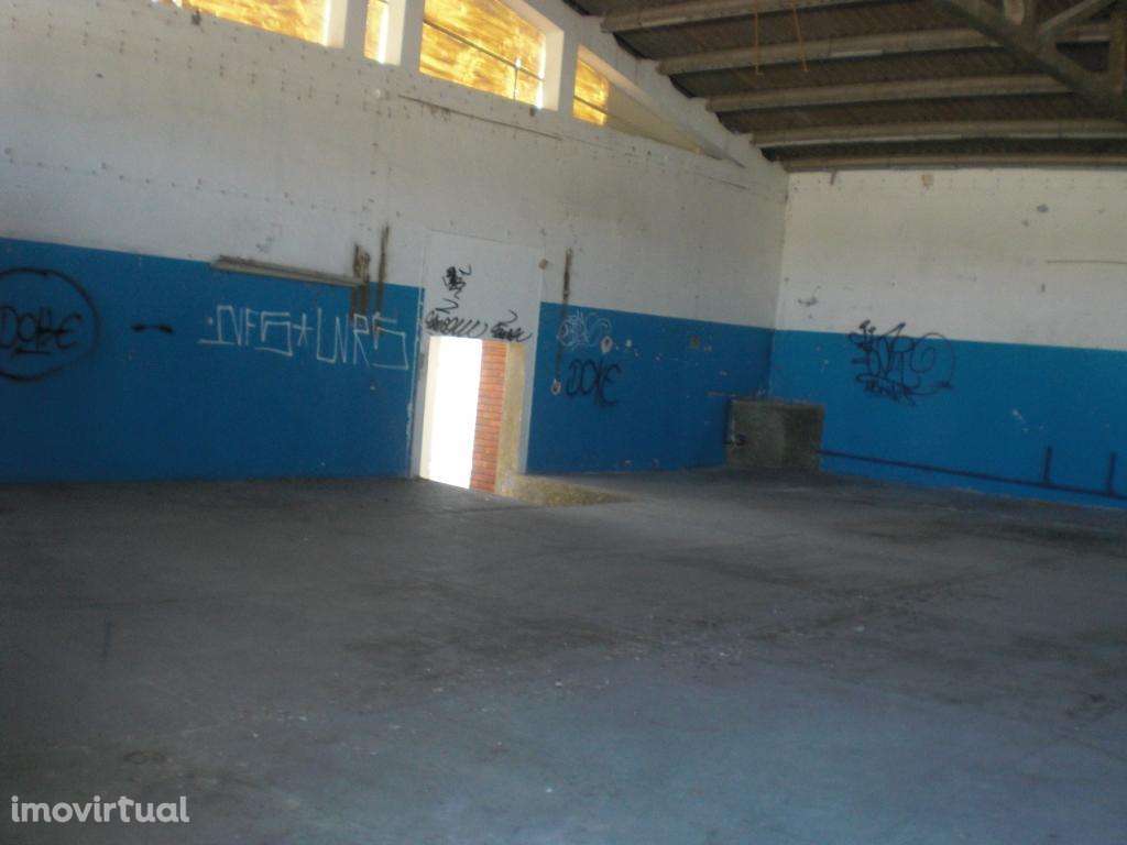 Terreno - até 100% Financiamento - Grande imagem: 5/6