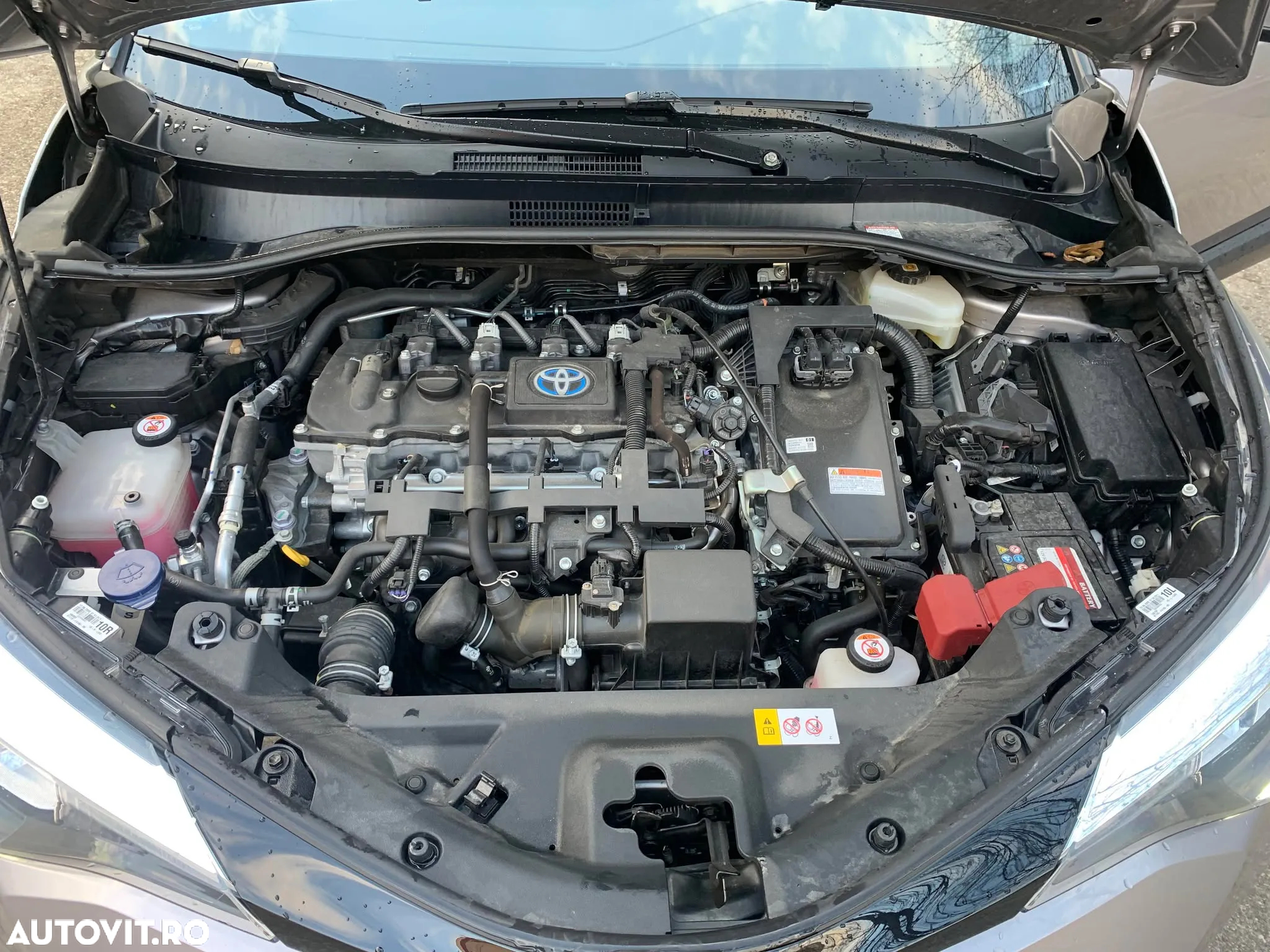 Toyota C-HR 1.8 Hybrid Team Deutschland - 13