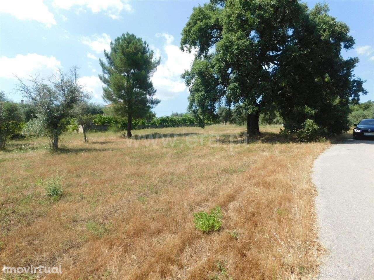Terreno / Covilhã, Vales do Rio - Grande imagem: 4/11