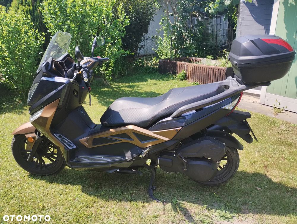 Barton B-Max 125 - 8