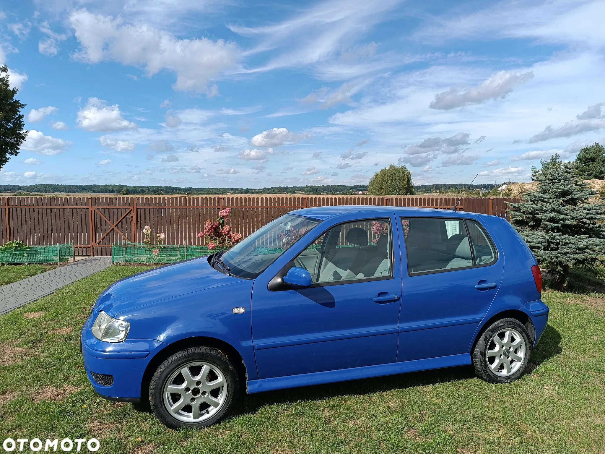 Volkswagen Polo - 3