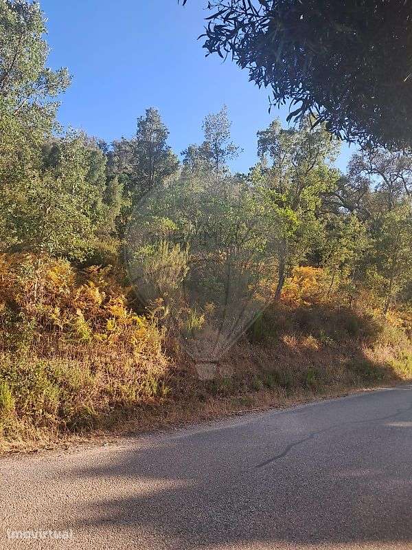 Terreno  para venda - Grande imagem: 3/5