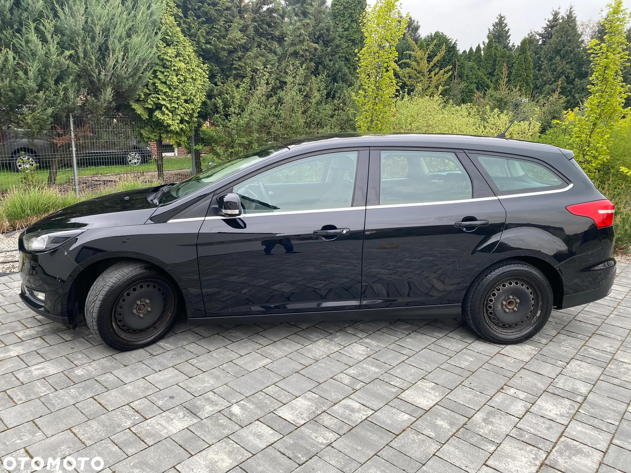 Ford Focus 1.5 EcoBoost Titanium ASS - 3